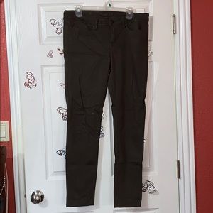 American Rag Olive Jeans